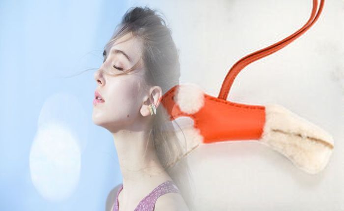 エルメス クロコダイル 財布 値段