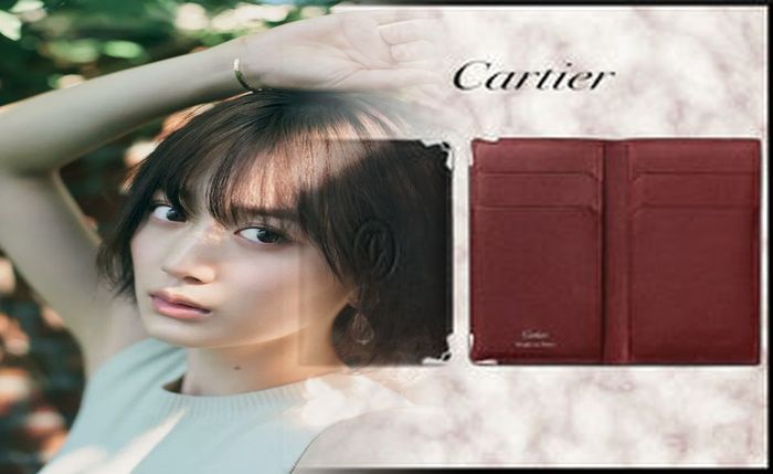 カルティエ 長 財布 マスト ライン