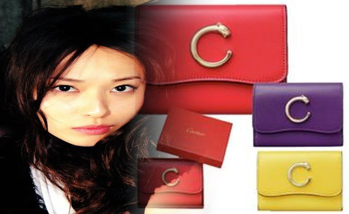 カルティエ サントス 長 財布