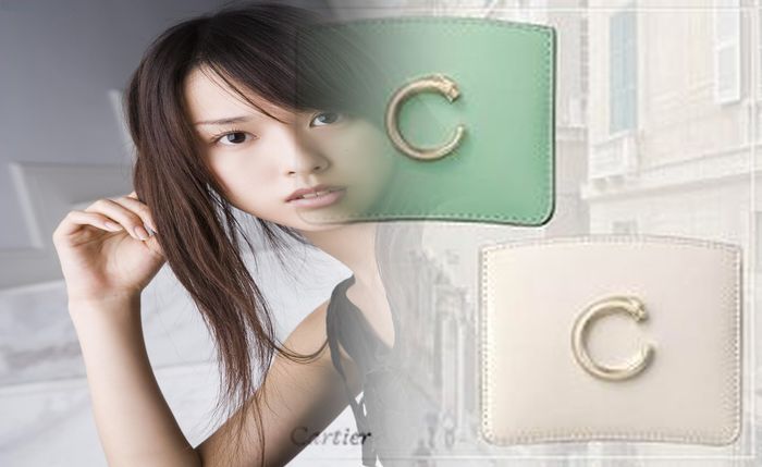 カルティエ 長 財布 メンズ ファスナー