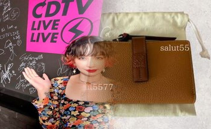 ロエベ 財布 ラウンド ファスナー