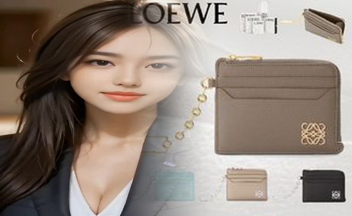 ロエベ 財布 ラウンド ファスナー