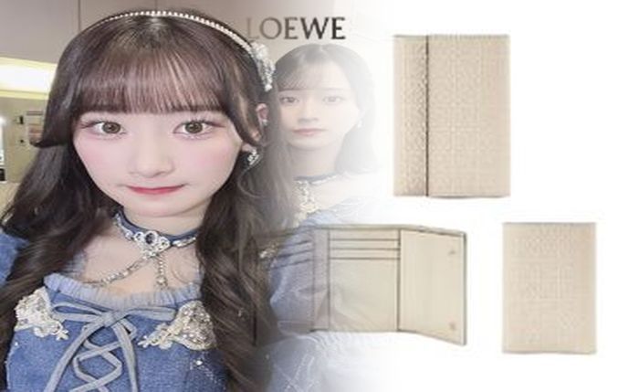 三田 アウトレット ロエベ 財布