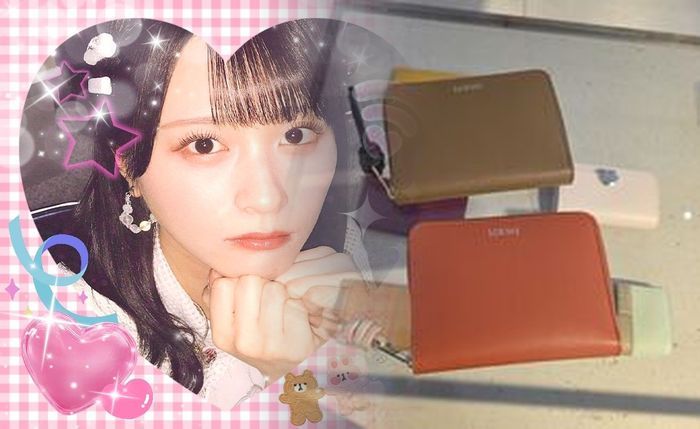 ロエベ 財布 ラウンド ファスナー