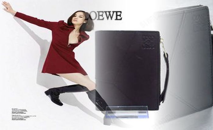 ロエベ 財布 ラウンド ファスナー