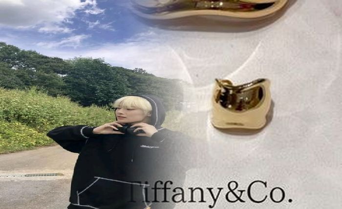 クリスマス ペア リング ティファニー