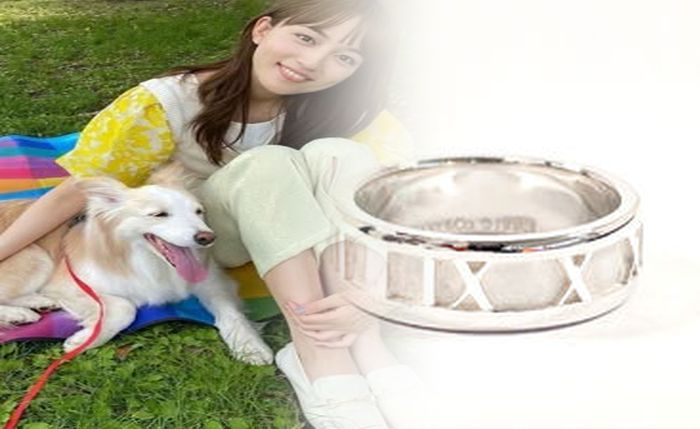 婚約 指輪 ブランド ティファニー