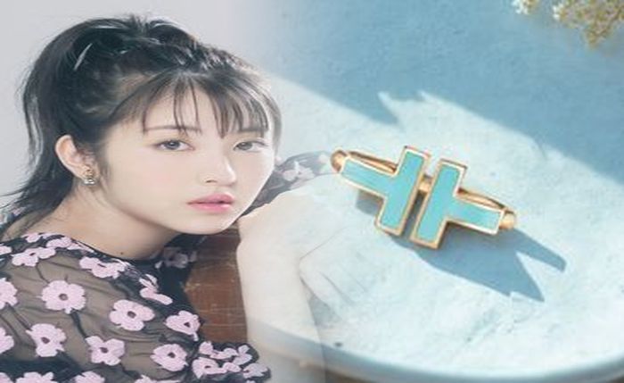 ティファニー 婚約 指輪 分割払い