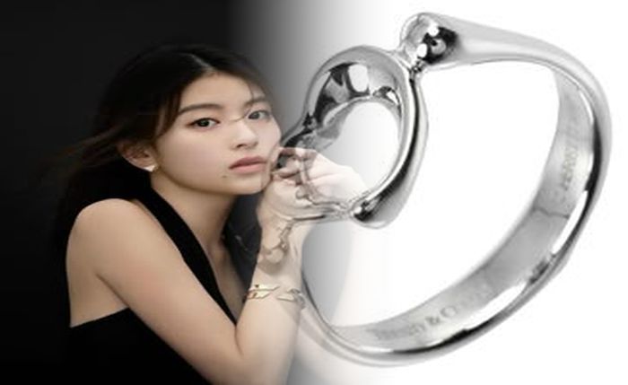 婚約 指輪 ティファニー ハーモニー