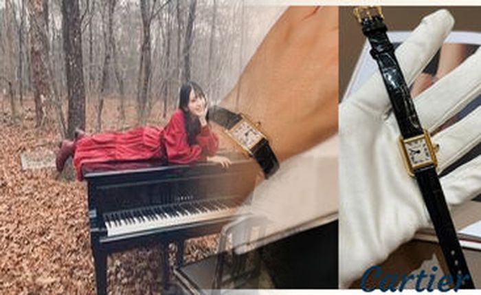 カルティエ 時計 ベルト 外し 方