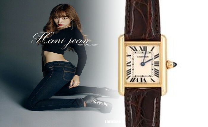 カルティエ 伝説 の 時計 タンク