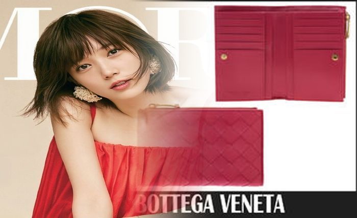 ボッテガ ジップ アラウンド ウォレット