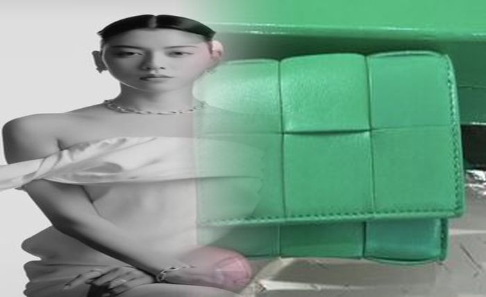 ボッテガ ジップ アラウンド ウォレット