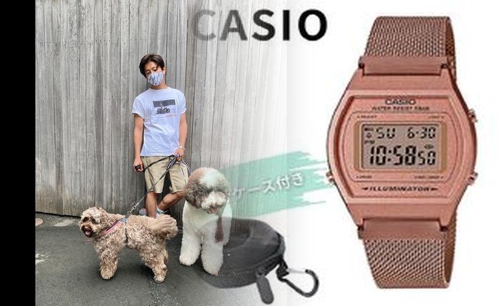 カシオ ポップ トーン 振動