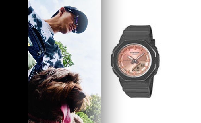 カシオ 10 年 電池 交換