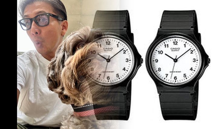 カシオ 時計 安い レディース