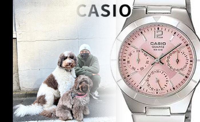 カシオ 腕時計 電池 交換 方法