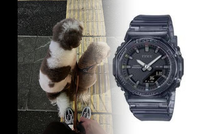 腕時計 レディース カシオ 安い