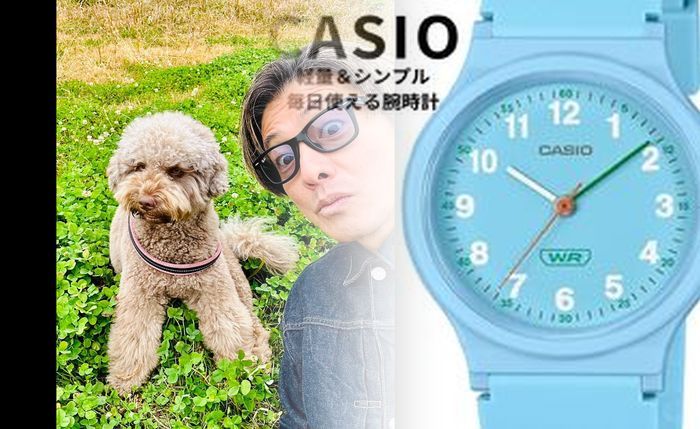 チープ カシオ どこに 売っ てる