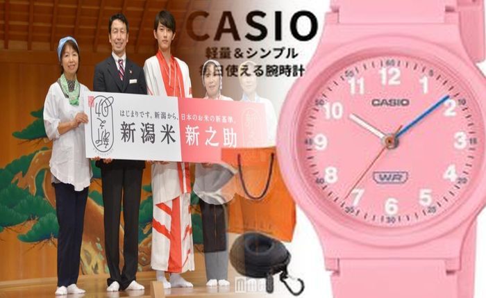 カシオ 時計 レディース 安い