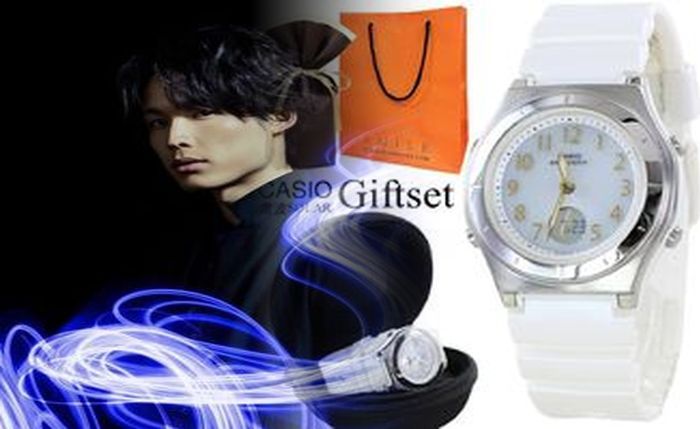 チープ カシオ データ バンク