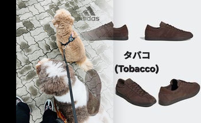 NIKEの国内最大店舗はどこですか？