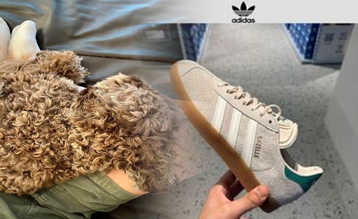 トレシューのメリットは？