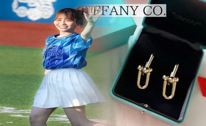 ティファニー 一 粒 ダイヤ ピアス