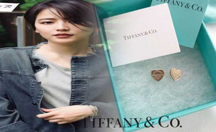 クリスマス プレゼント ピアス ティファニー