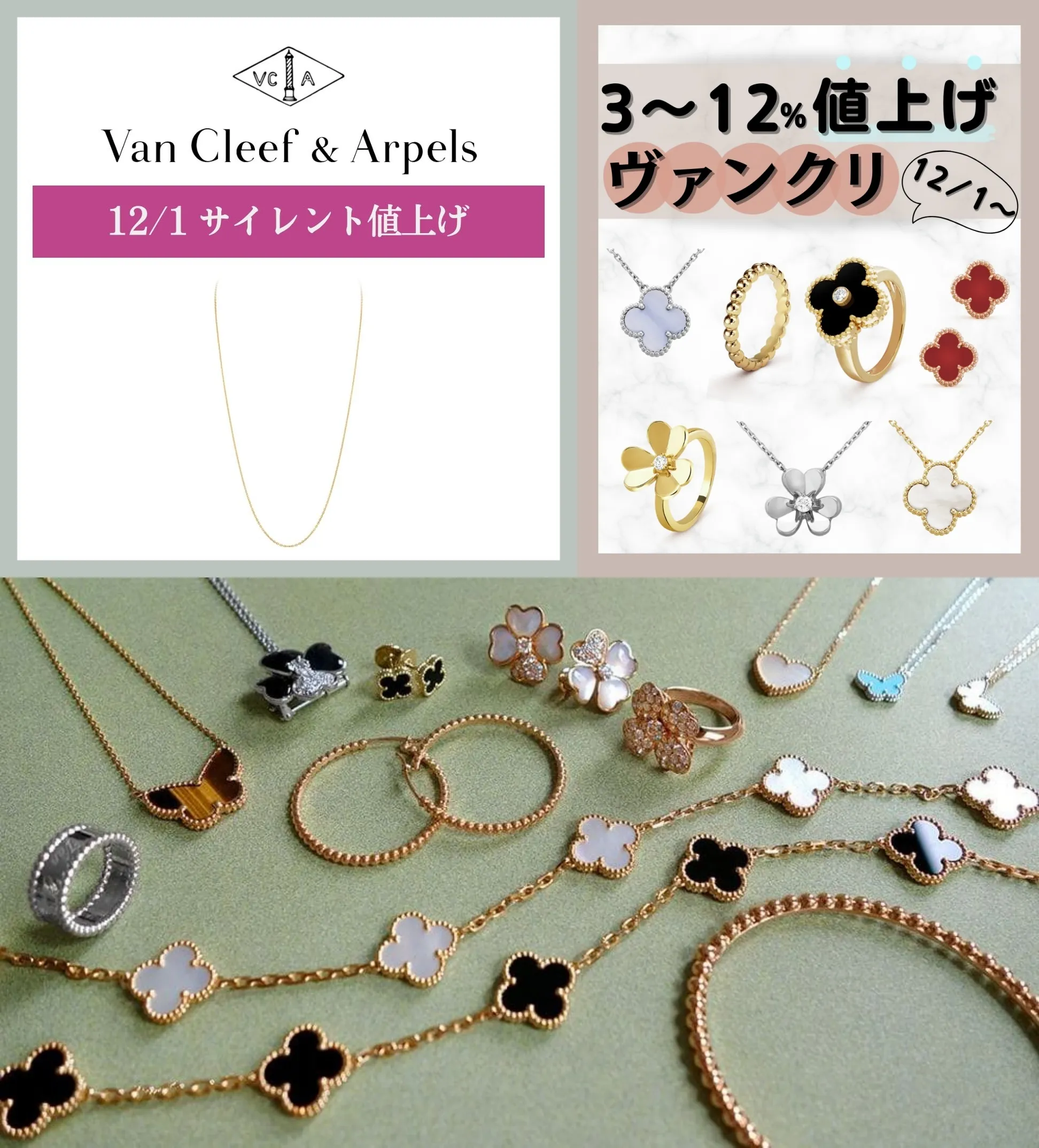 2. 改定内容の詳細｜フォルサチェーン4種のみの値上げという異例の動き.webp