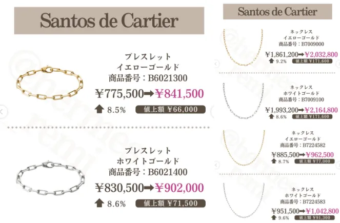 ジュエリー｜Santos de Cartier（サントス ドゥ カルティエ）.webp