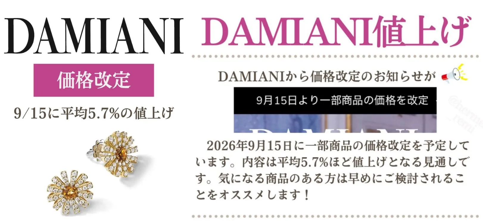 ダミアーニ値上げ2026｜9月15日に価格改定、平均5.7％アップへ